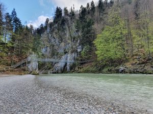 GG-Bilder-2021 (12)-min