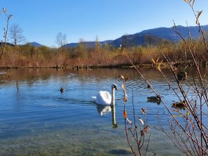 GG-Bilder-2021 (6)-min